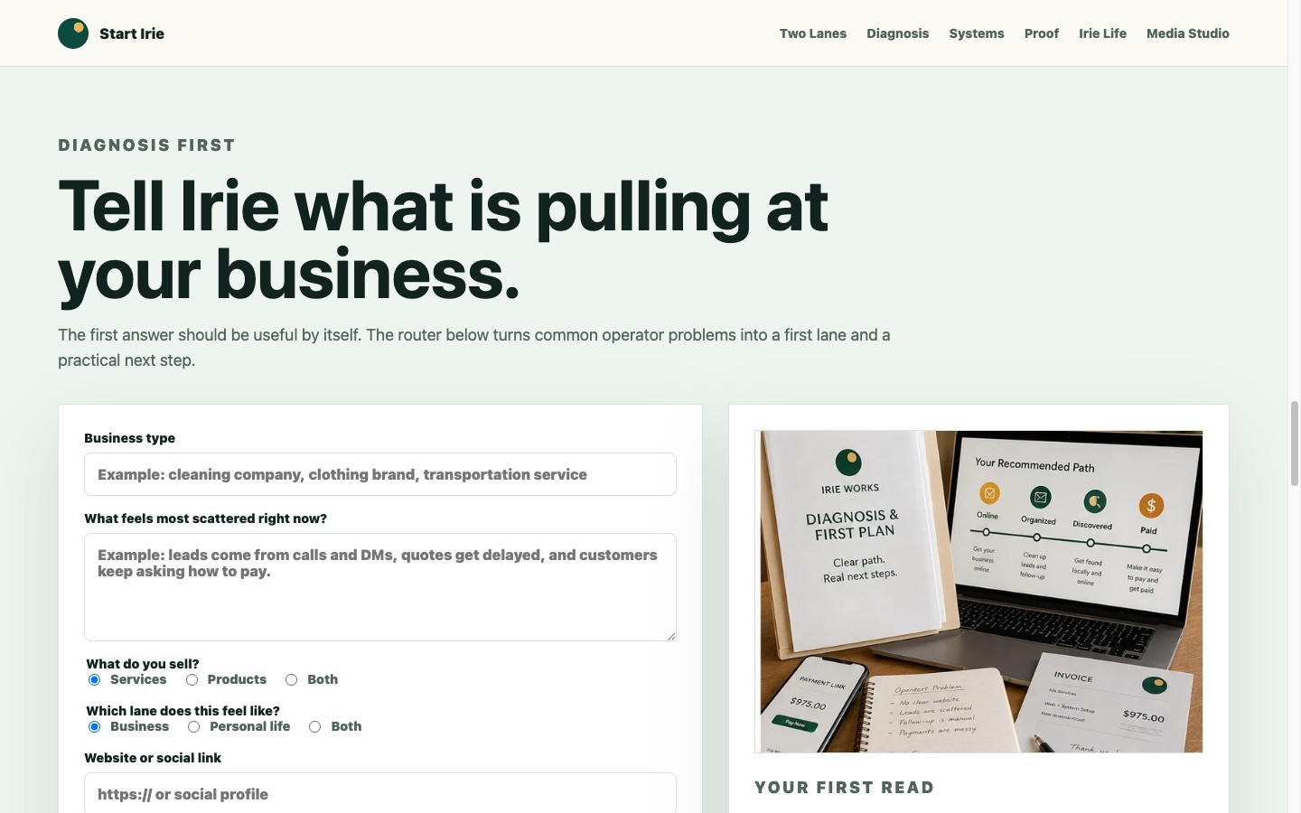 The live Start Irie diagnosis form — tell Irie what is pulling at your business.